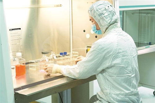 茵冠生物一款干細(xì)胞制品獲評(píng)省名優(yōu)高新技術(shù)產(chǎn)品