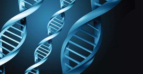 十大科技帶來(lái) 人類2.0 品讀