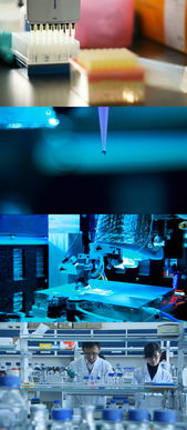 生物科技的實驗系列素材探索